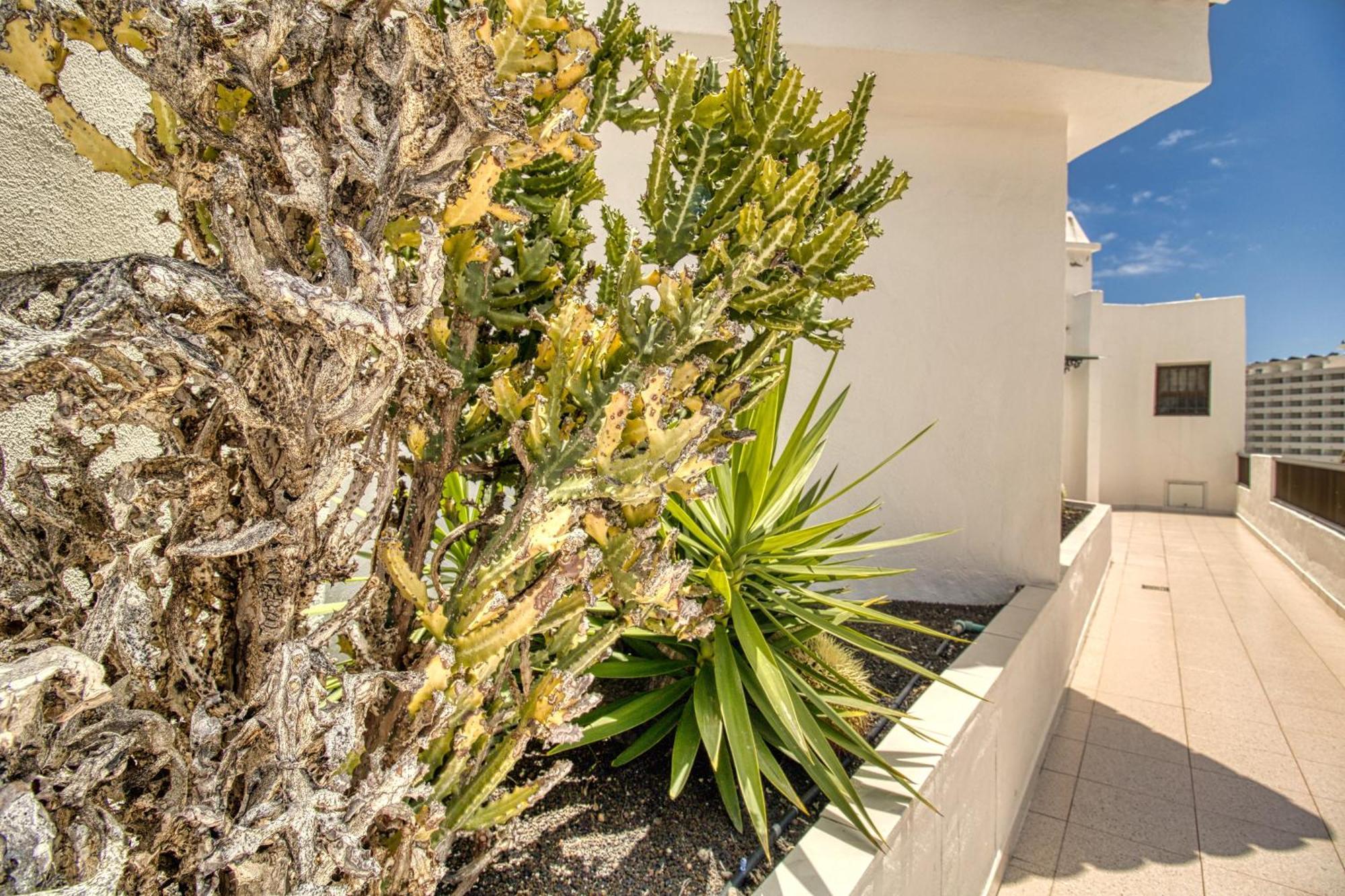 דירות Playa Feñabe Penthouse Sea View Jacuzzy Terrace & Pool מראה חיצוני תמונה