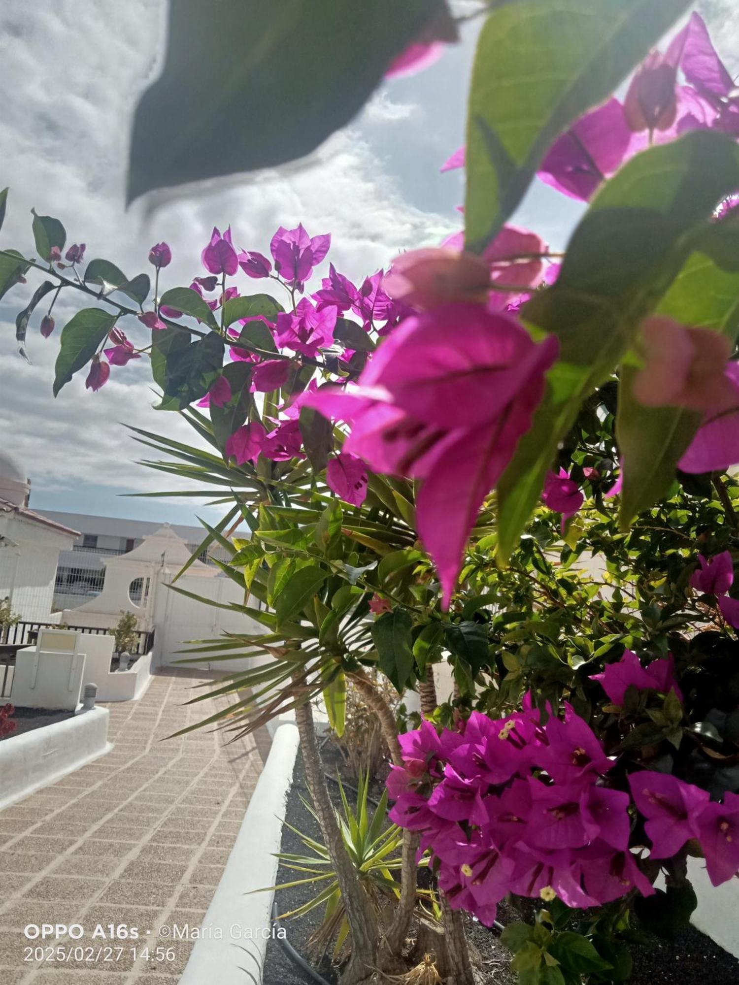 דירות Playa Feñabe Penthouse Sea View Jacuzzy Terrace & Pool מראה חיצוני תמונה